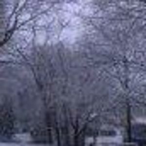 Meet your Posher, Sandy